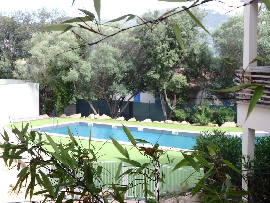 Appartement Cite Du Sel Porto-Vecchio  Rum bild