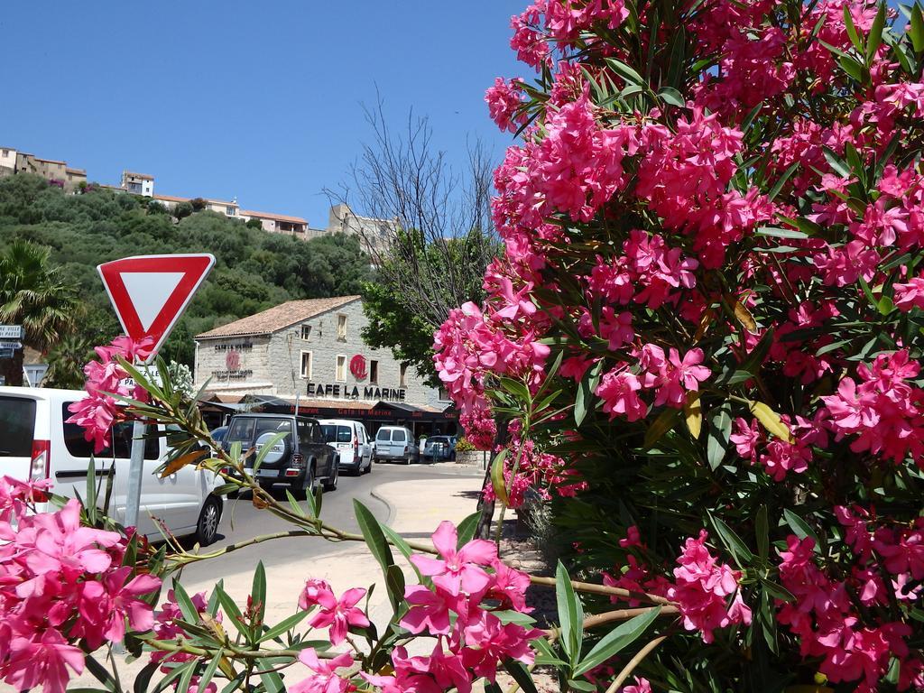 Appartement Cite Du Sel Porto-Vecchio  Rum bild