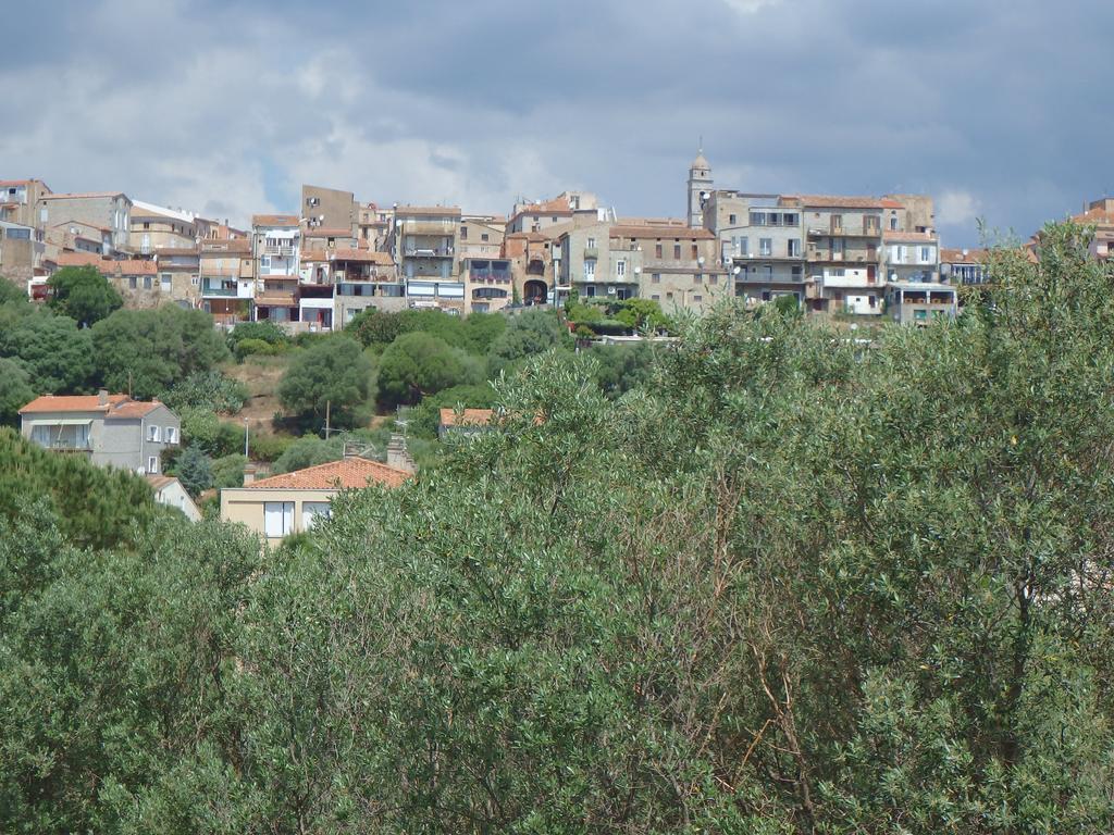 Appartement Cite Du Sel Porto-Vecchio  Rum bild
